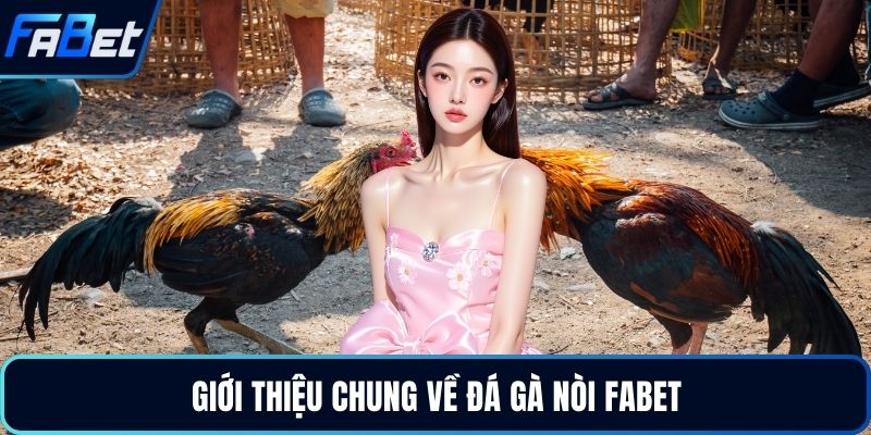Giới thiệu chung về đá gà nòi FABET